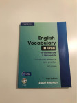 English vocabulary in use