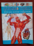 LJUDSKO TIJELO, ŽIVČANI SUSTAV I KRVOTOK, 24 SATA, 2008