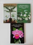 Moje sobne rastline - Orhideje - Rastline iz pečk - Rastline z belimi