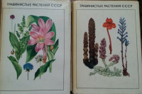 ТРАВЯНИСТЫЕ РАСТЕНИЯ СССР