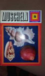 Školjke (Muscheln). 1971.