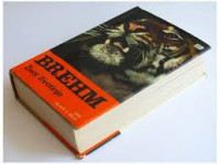 ŽIVOT ŽIVOTINJA -BREHN