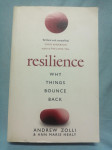 Andrew Zolli i Anne Marie Healy – Resilience (B18)