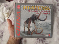 China Museums: Treasure Houses of History (NOVO ZAPAKIRANO)