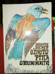 O životu ptica u dolini Neretve  Dragutin Rucner