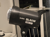 Godox SL60 + softbox prodajem