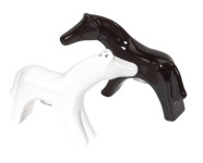 Set za sol i papar Caressing