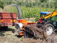DROBILICA, SJECKALICA, ČIPER ZA DRVO GANDINI MECCANICA ENERGY LINE