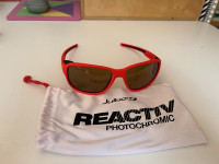 Julbo Montebianco 2 Reactiv 2-4 polarized