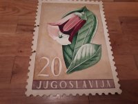 Slika poštanske marke Jugoslavija - Flora