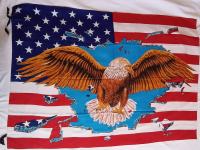 Američka zastava sa orlom