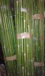 Bambus štapovi