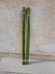 Bambus štapovi
