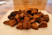 ČAGA GLJIVA (Inonotus obliquus)