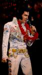 Elvis Presley 86x135 cm platno