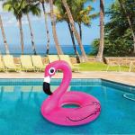 Kolut za plivanje - Flamingo