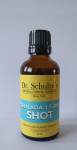 Prehlada i Gripa SHOT - ultimativna formula dr. Schulzea za imunitet