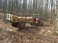 Prodajem drva bukva-grab