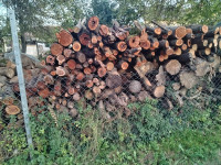 prodajem povoljno drva suha izrezana s dovozom