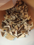 Puranov rep (Trametes versicolor), cijena za 100 grama suhe gljive!!!