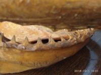 RALJE MORSKOG PSA - PREPARIRANE