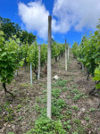 Stupovi za vinograd