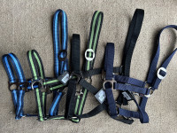 Ulari za magarce/ Pony konje