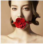 ZALO ROSE BALL GAG POVEZ ZA USTA *DO 24 RATE* NOVO