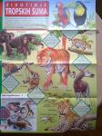 Životinje tropskih šuma poster iz drva znanja