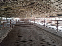 BETONSKE REŠETKE ZA SVINJOGOJSKE FARME