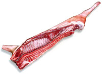 AKCIJA-Svinjske polovice/polutke 2, 80 eur/kg