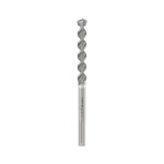 BOSCH svrdlo za armirani beton PRO SDS max-4, 25x200x320 mm
