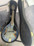 MANDOLINA VINTAGE VFM500E