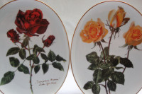 TANJURI RUŽE U PARU ZIDNA DEKORACIJA 22 cm x 16,5 cm