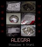 Alegra Konac (Schoeller & Stahl) - Novo 20 komada (50 grama svaki)