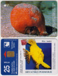 274 HRVATSKA CROATIA TEL.KARTICA PODMORJE RAK OKATI 1999