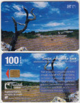 305 HRVATSKA CROATIA TEL.KARTICA SVETAC (POJE) 2000 - I  IZDANJE
