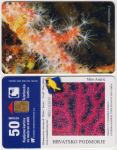 308 HRVATSKA CROATIA TEL.KARTICA KORALJI (CORALLIUM RUBRUM) 2000