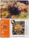 370 HRVATSKA CROATIA TEL.KARTICA JEŽINCI (Crni) 2001
