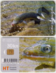 413 HRVATSKA CROATIA TEL.KARTICA PODMORJE (Jegulja) 2004