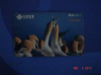 tel.kartica Fauna China