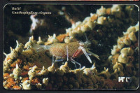 Telefonska kartica s motivom hrvatskog podmorja-Račić