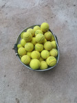 Loptice za Tenis