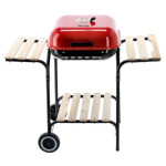 WinningStar DA01192 Mobilni Vrtni Roštilj na Ugljen – 96 x 45 cm Površ