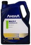 Ulje Ambra MULTI F 20W30 5L