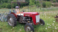 Massey Ferguson MF 25