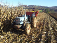 TRAKTOR EICHER MAMMUT 74 ALLRAD (Massey Ferguson 158)