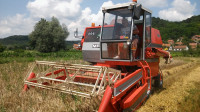Kombajn Massey Ferguson 206 sa kabinom. Zamjena