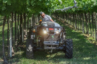 Voćarsko-vinogradarski traktor CARRARO - NOVI MODELI