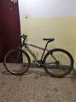 Stevens xcross 28"